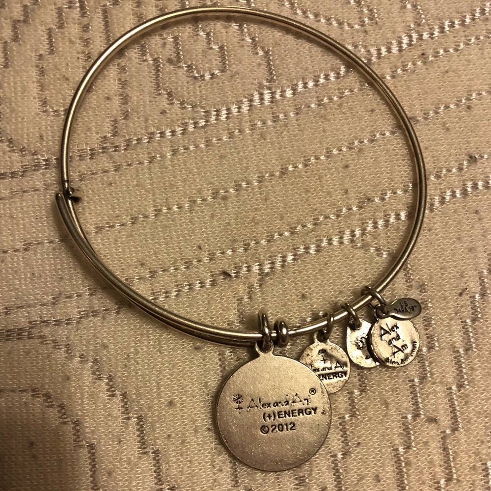 Alex and ani silver Infiniti charm bangle bracelet - Picture 2 of 3